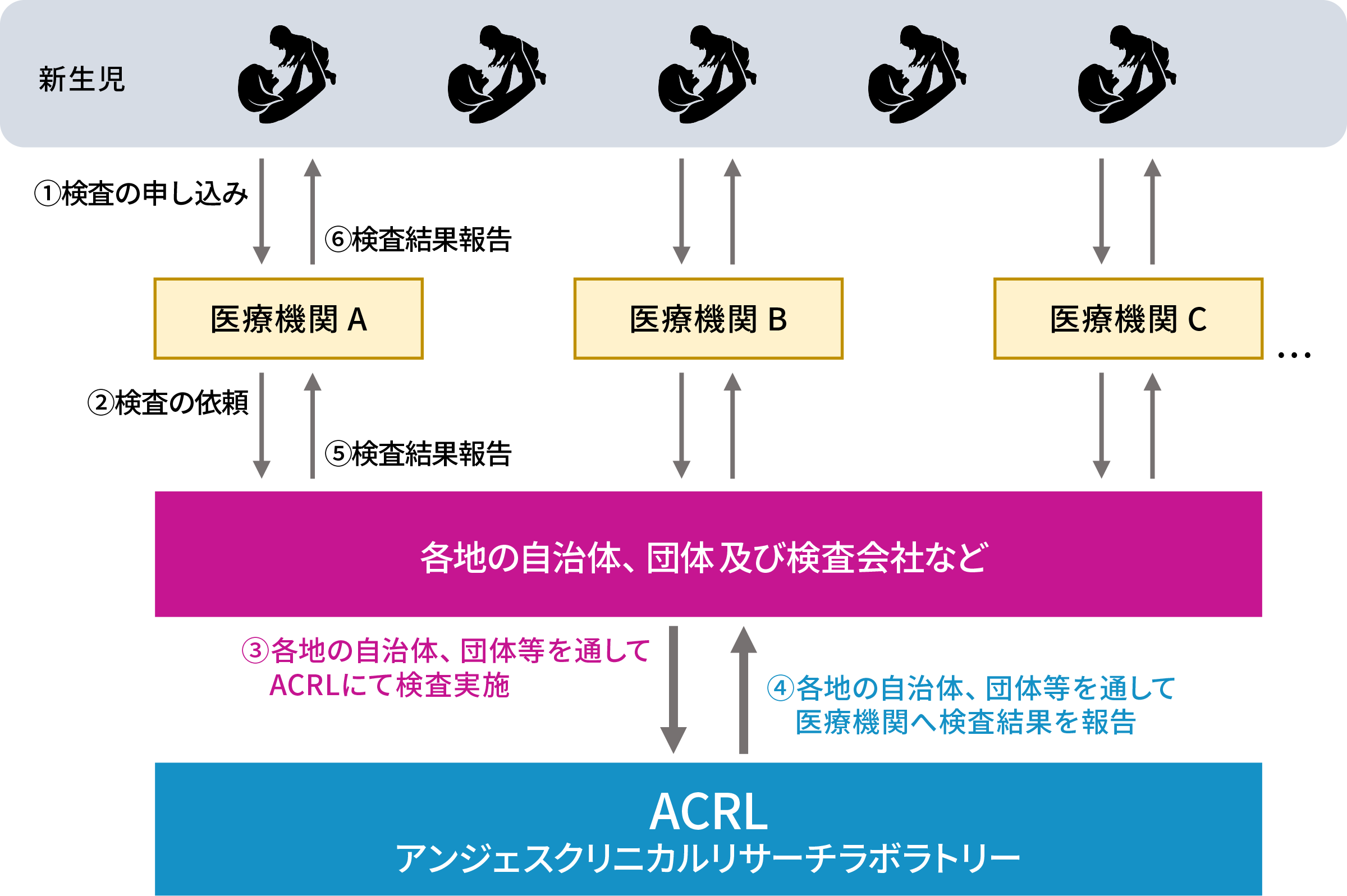 希少遺伝性疾患検査の流れ